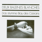 Das Stumme Blau Des Ozeans