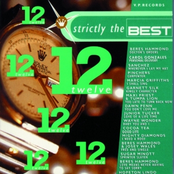 Strictly The Best Vol. 12