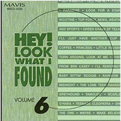 Hey! Look What I Found, Vol. 6