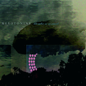 Eleven by Melatonine