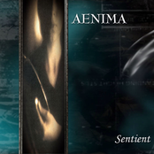 Song To A Moonlit Mermaid by Aenima