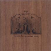 The Deer Lay Down Their Bones