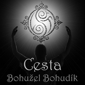 cesta