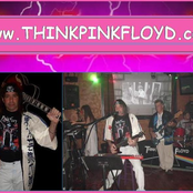 Think Pink Floyd: WWW.THINKPINKFLOYD.com