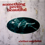 Something Pretty Beautiful