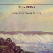 Pigeon Knows by Tiny Ruins