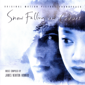 Snowstorm by James Newton Howard