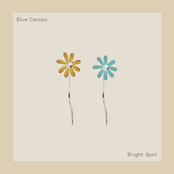 Bright Spot - Single