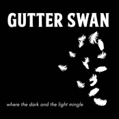 Where the Dark and the Light Mingle