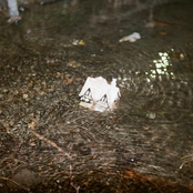 still waters, empty house