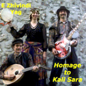 Homage to Kali Sara
