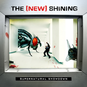 Someone Like You by The New Shining