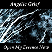 Open My Essence Now [2010]