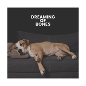 Dreaming of Bones