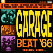 Garage Beat '66, Vol. 3: Feeling Zero...