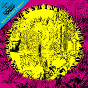 yellow sunshine explosion