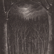 Im Wald