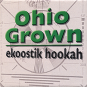 Ekoostik Hookah: Ohio Grown