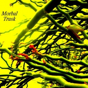 The Seeded Sky Disaster