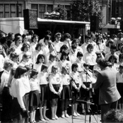 kinderchor des ndr