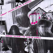 Premonition by Cabaret Voltaire