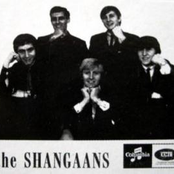 The Shangaans