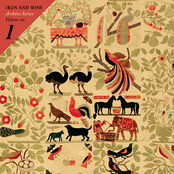 The Wind Is Low by Iron & Wine