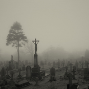 ✝†Crosses On The Ceiling†✝