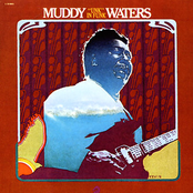 Waterboy Waterboy by Muddy Waters