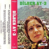 Dilberay