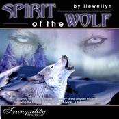 Spirit Of The Wolf by Llewellyn