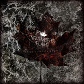 Время собирать камни