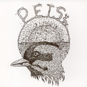 Pets