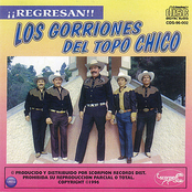 ¡¡Regresan!!
