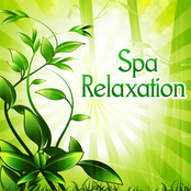 Spa Relaxation – Nature Sounds to Relax, New Age Spa Music, Wellness Relaxation, Healing Massage