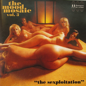 The Mood Mosaic Vol. 3: The Sexploitation