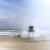 dois verões ou a viagem de sífero