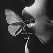 Eclipsed Wings