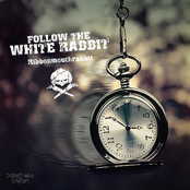 Follow The White Rabbit (LP)