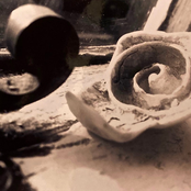 I am S-Undress, She of Infinite Flowers