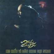 Em hiểu vì đâu chim gọi nhau