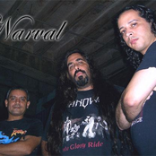 Narval