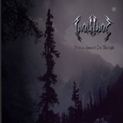 Shadows Amongst The Moonlight