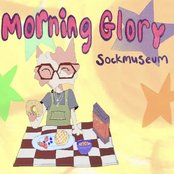 morning glory