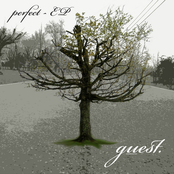 Perfect - EP