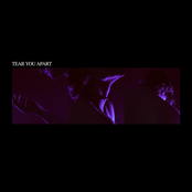 Tear You Apart