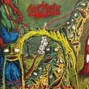 Melted and Decomposed