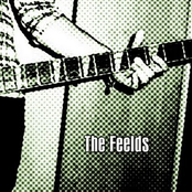 the feelds