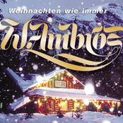 Weihnachten Wie Immer by Wolfgang Ambros