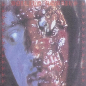 Pulmonary Fibrosis / Boiling Remains